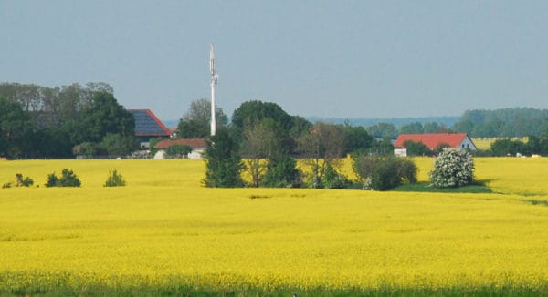 backhaus-raps-big